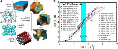 Challenges and opportunities from water under soft nanoconfinement